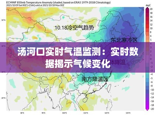 2024年12月21日 第8页