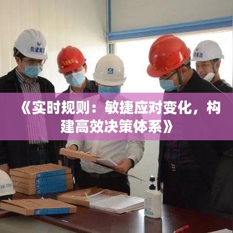 《实时规则：敏捷应对变化，构建高效决策体系》