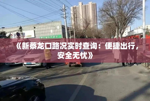 《新蔡龙口路况实时查询：便捷出行，安全无忧》