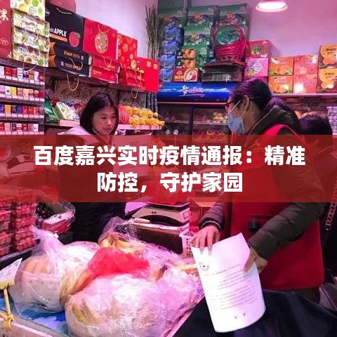 百度嘉兴实时疫情通报：精准防控，守护家园