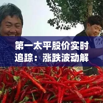 第一太平股价实时追踪：涨跌波动解析