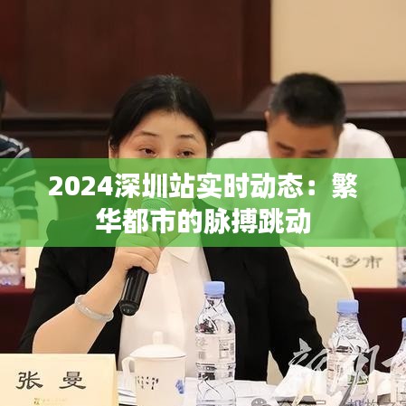 2024深圳站实时动态：繁华都市的脉搏跳动