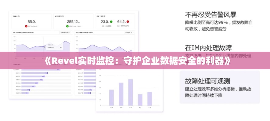 《Revel实时监控：守护企业数据安全的利器》