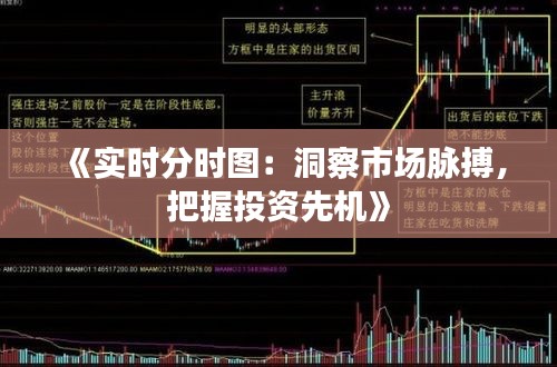 《实时分时图：洞察市场脉搏，把握投资先机》