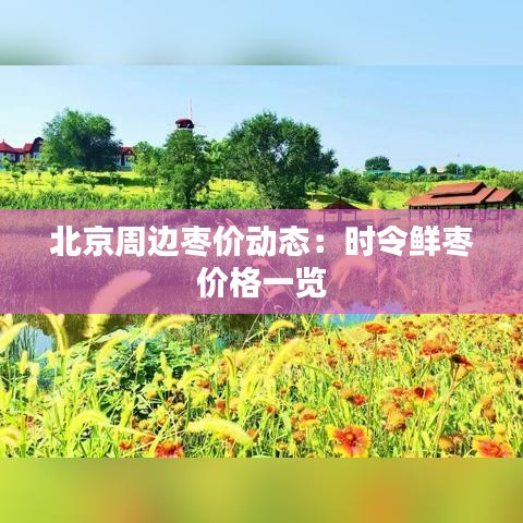 北京周边枣价动态：时令鲜枣价格一览