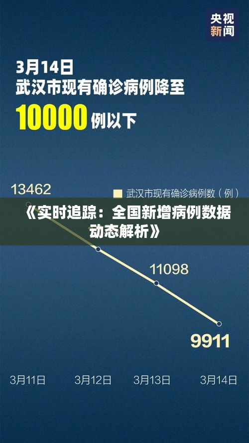 《实时追踪：全国新增病例数据动态解析》