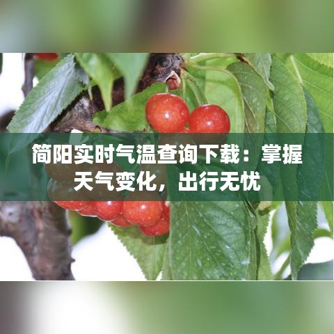 客户案例 第190页