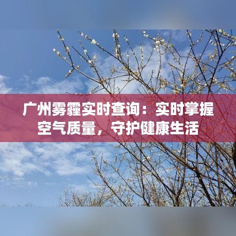 广州雾霾实时查询：实时掌握空气质量，守护健康生活