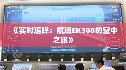 《实时追踪：航班EK308的空中之旅》