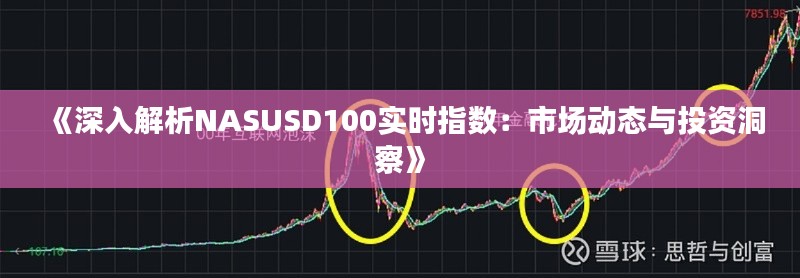 《深入解析NASUSD100实时指数：市场动态与投资洞察》