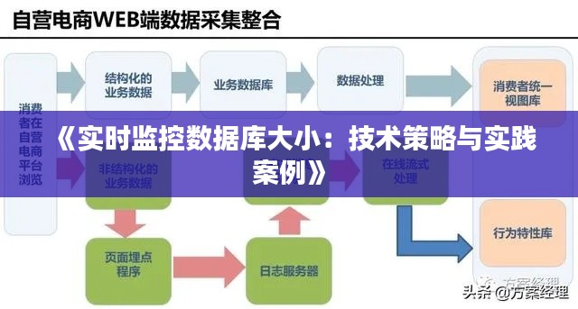 《实时监控数据库大小：技术策略与实践案例》