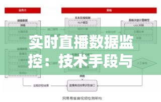 实时直播数据监控：技术手段与策略分析