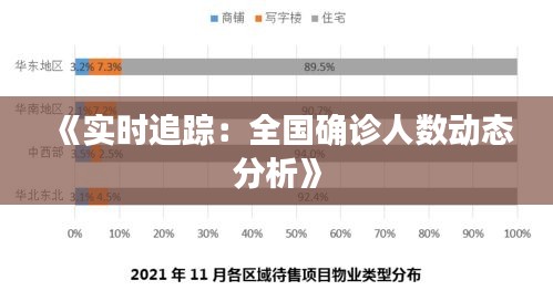 《实时追踪：全国确诊人数动态分析》