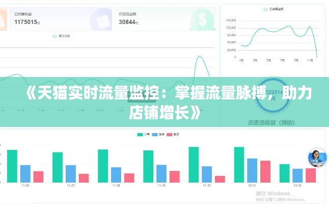 《天猫实时流量监控：掌握流量脉搏，助力店铺增长》