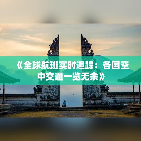 《全球航班实时追踪：各国空中交通一览无余》