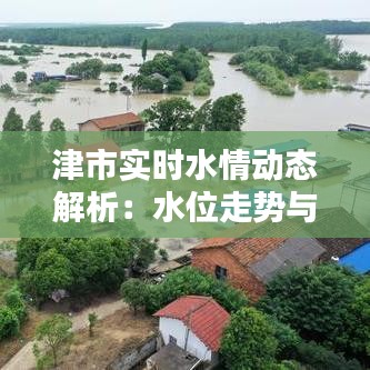 津市实时水情动态解析：水位走势与应对措施