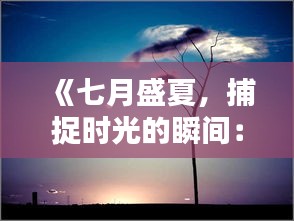 《七月盛夏，捕捉时光的瞬间：实时素材精选》