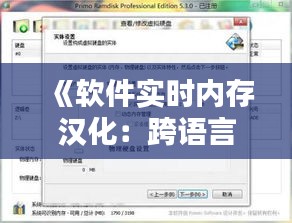 《软件实时内存汉化：跨语言应用的无缝体验》