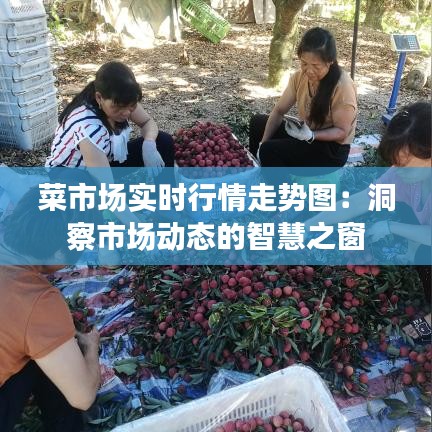 菜市场实时行情走势图：洞察市场动态的智慧之窗