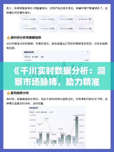 《千川实时数据分析：洞察市场脉搏，助力精准营销》