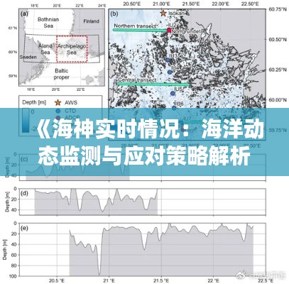 公司动态 第169页