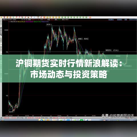 公司动态 第169页