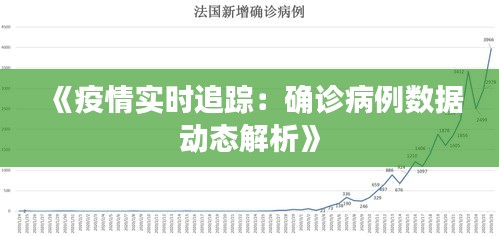 《疫情实时追踪：确诊病例数据动态解析》