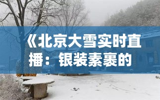 《北京大雪实时直播：银装素裹的古城美景尽收眼底》