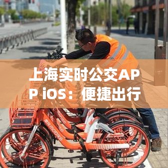 上海实时公交APP iOS：便捷出行，智慧生活新体验