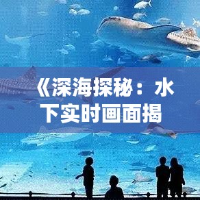 《深海探秘：水下实时画面揭示未知世界》