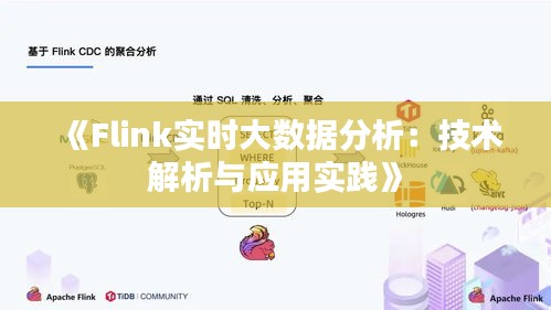 《Flink实时大数据分析：技术解析与应用实践》