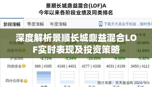 深度解析景顺长城鼎益混合LOF实时表现及投资策略