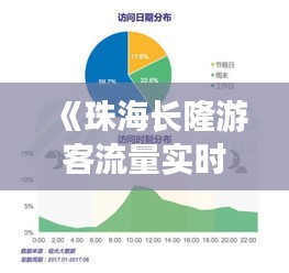 《珠海长隆游客流量实时监测：人潮涌动背后的数据解读》