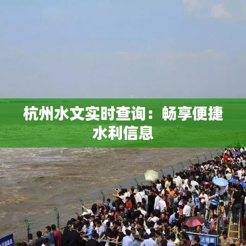 杭州水文实时查询：畅享便捷水利信息