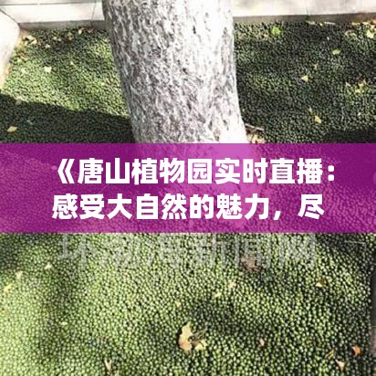 《唐山植物园实时直播：感受大自然的魅力，尽享生态之美》