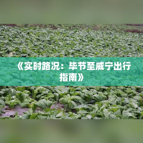 《实时路况：毕节至威宁出行指南》