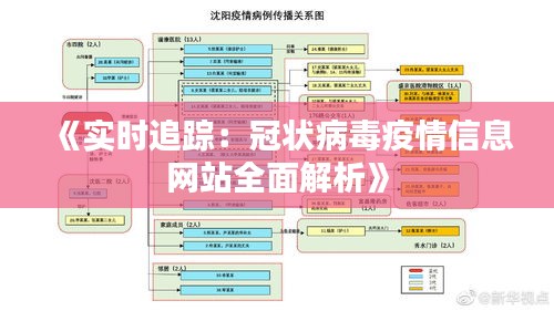 《实时追踪：冠状病毒疫情信息网站全面解析》