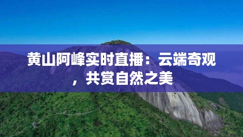 黄山阿峰实时直播：云端奇观，共赏自然之美