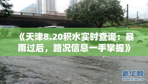 《天津8.20积水实时查询：暴雨过后，路况信息一手掌握》