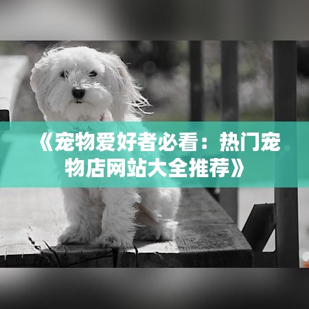 《宠物爱好者必看：热门宠物店网站大全推荐》