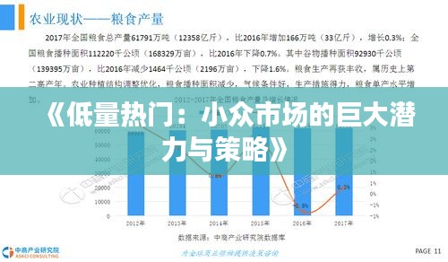 《低量热门：小众市场的巨大潜力与策略》