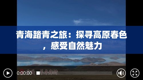 青海踏青之旅：探寻高原春色，感受自然魅力