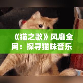 《猫之歌》风靡全网：探寻猫咪音乐的魅力与情感共鸣