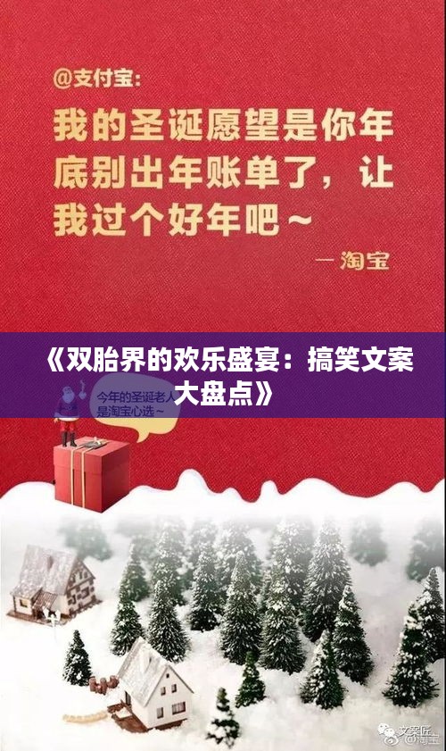 《双胎界的欢乐盛宴：搞笑文案大盘点》