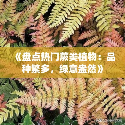 《盘点热门蕨类植物：品种繁多，绿意盎然》