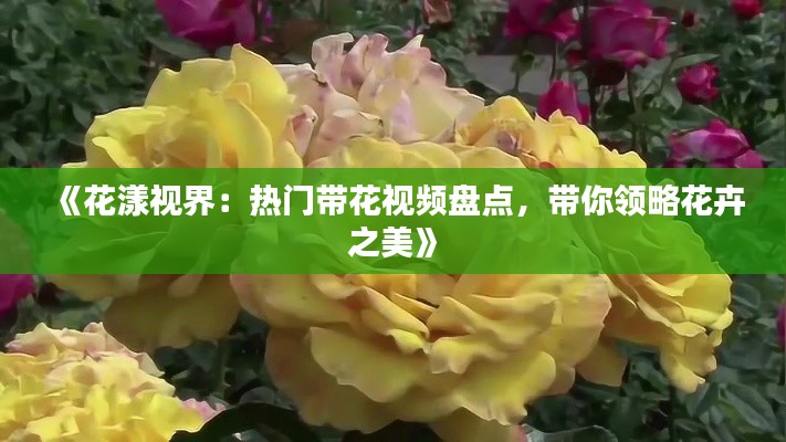 《花漾视界：热门带花视频盘点，带你领略花卉之美》