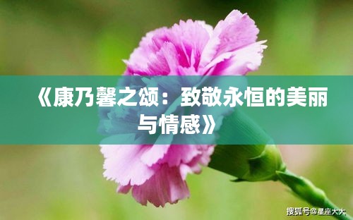 《康乃馨之颂：致敬永恒的美丽与情感》