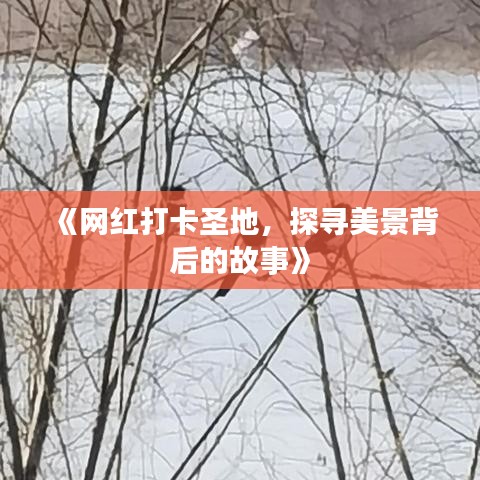 在线留言 第147页