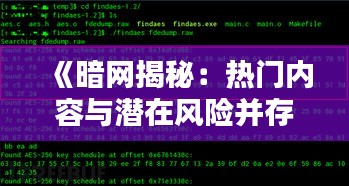 《暗网揭秘：热门内容与潜在风险并存》