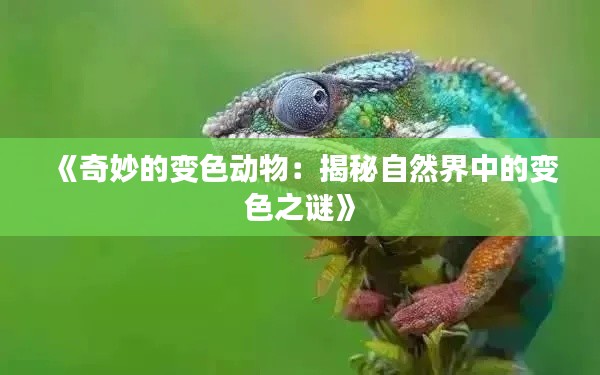 择善而从